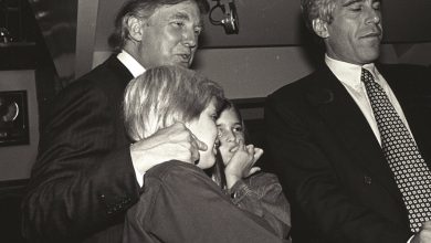 Photo of Publikimi i Dosjes Epstein/ Reagimi i papritur i Trump: Dokumentet e reja më shfajësojnë…