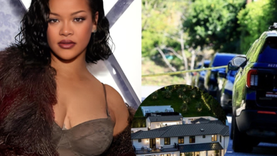 Photo of Qëllohet me armë shtëpia e këngëtares Rihanna