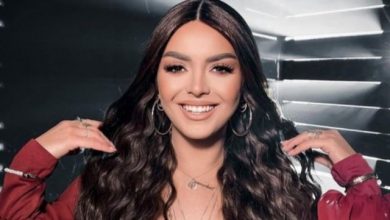 Photo of Bashkëpunon prej 7 vitesh, reagon Fifi: Nëse Erkand Shabani për dikë është një tmerr, me mua është… (FOTO)