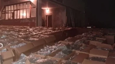 Photo of Jo vetëm “Alfa Farm” është e përfshirë në trafikim të marijuanës, thotë ministri i MPB