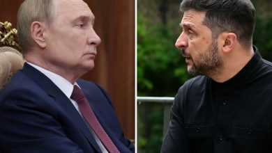 Photo of Zelenski: Jemi gati për armëpushim nëse edhe Moska ndërpret…