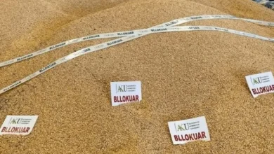 Photo of Shqipëri : AKU bllokon misër blegtoral me aflatoksinë, masa disiplinore për inspektorët e qarkut Shkodër