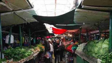Photo of Specat në 290, domatet mbi 250 denarë – Çmimet dalin jashtë kontrollit në tregje