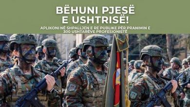 Photo of Zëvendësministri Shabani: Aplikoni dhe bëhuni pjesë e Armatës, tani është momenti!