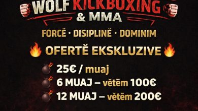 Photo of “Wolf Kickboxing & MMA hap dyert për anëtarë të rinj”: “ Këtu fillon rrugëtimi yt në sportet luftarake”