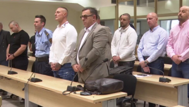 Photo of Ujqërit e Çernobilit: Mutacioni që po mposht kancerin 40 vite pas shpërthimit të tmerrshëm bërthamor, zona ku ndalohet hyrja në Çernobil është kthyer në një laborator natyror. Ndërsa njerëzit u larguan, kafshët e egra u rikthyen, por ujqërit gri janë ata që po habisin shkencëtarët me “superfuqinë” e tyre të re. Një popullatë që lulëzon në rrezatim Në një zonë ku rrezatimi është vdekjeprurës, ujqërit jo vetëm që mbijetojnë, por numri i tyre është 7 herë më i lartë se në zonat e pastra përreth. Ata jetojnë, gjuajnë dhe shtohen në një mjedis që duhej t’i kishte zhdukur. “Superfuqia” në ADN-në e tyre** Një studim i fundit nga Universiteti i Princeton zbuloi diçka të pabesueshme pasi krahasoi gjakun e ujqërve të Çernobilit me ata të zonave të tjera të botës: * Gjenet e ndryshuara: Shkencëtarët identifikuan mbi 3,000 gjene që sillen ndryshe tek këta ujqër. * Mbrojtja ndaj kancerit: U zbuluan 23 gjene specifike të lidhura me kancerin, të cilat janë shumë aktive tek ujqërit e Çernobilit. Këto gjene u lejojnë atyre ose të mos preken nga kanceri, ose ta përballojnë atë pa u dëmtuar funksionet e tyre jetësore. Shpresa për mjekësinë njerëzore Teoria kryesore është se 40 vite jetesë në një mjedis radioaktiv, duke ngrënë pre radioaktive, kanë detyruar ADN-në e ujqërve të evoluojë me shpejtësi. * Shkencëtarët tani po bashkëpunojnë me biologët e kancerit për të kuptuar nëse ky mutacion mund të aplikohet në trajtimet e kancerit tek njerëzit. * Nëse zbulojmë se si këta ujqër e mbrojnë veten nga rrezatimi, mund të krijojmë terapi të reja që mbrojnë qelizat tona. Një laborator i izoluar. Zona e përjashtimit prej 4,200 kilometrash katrorë është kthyer në studimin më të madh aksidental në histori. Pa praninë e njerëzve, jeta po përshtatet në mënyra që nuk mendoheshin të mundshme në rrethana normale. Kjo na tregon se natyra ka një forcë të jashtëzakonshme ripërtëritëse dhe se shpeshherë zgjidhjet për sëmundjet tona më të rënda fshihen në mënyrën se si jeta egër i mbijeton katastrofave tona.