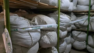 Photo of Pa etiketë dhe pa datë skadence, AKU bllokon rreth 4 mijë kg bimë të thata të “Merja”-s, gjobitet biznesi