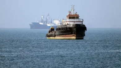 Photo of Goditet një anije mallrash në Ngushticën e Hormuzit