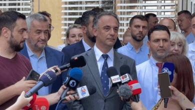 Photo of Hantavirusi, Aliu: Grup i ekspertëve po përgatit plan, në rast të krizës eventuale