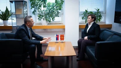 Photo of Dimitrieska – Kamenicki: Sllovakia do të ndajë përvojën e saj me Maqedoninë në zbatimin e reformave