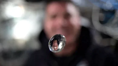 Photo of NASA publikon videon mahnitëse nga misioni Artemis II, astronautët luajnë me një pikë uji në hapësirë