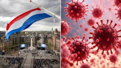 Photo of ALARMI! Hantavirusi mbërrin dhe në Holandë, një stjuardesë u infektua teksa…