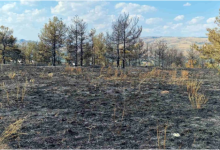 Photo of Pesë zjarre aktive në vend, më së shumti janë kapluar vegjetacioni i thatë dhe mbeturinat