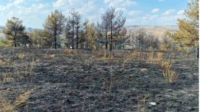 Photo of Pesë zjarre aktive në vend, më së shumti janë kapluar vegjetacioni i thatë dhe mbeturinat