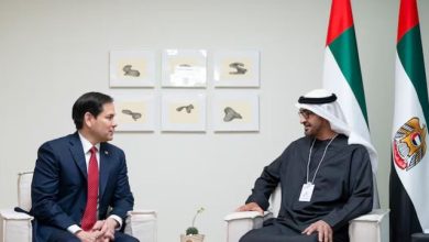 Photo of Rubio takon presidentin e Emirateve të Bashkuara Arabe/ Pigott zbardh diskutimet, në fokus Ngushtica e Hormuzit dhe siguria rajonale