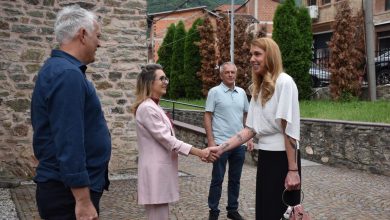 Photo of Drejtoresha e galerisë së Arteve në Tetovë pret në takim UD.ambasadorene SHBA-ve