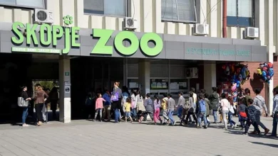 Photo of U raportua për arratisjen e ujqërve, Anima Mundi kërkoi që Kopshti Zoologjik i Shkupit të mbyllet dhe të inspektohet