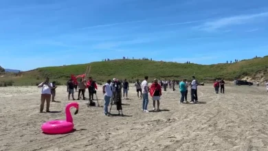Photo of Protesta për projektin e Zvërnecit, vetëm dhjetëra protestues me pankarta në plazhin e Dalanit