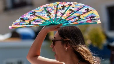 Photo of Mbi 212 vdekje nga i nxehti ekstrem në Spanjë, 8.74% rritje krahasuar me vitin e kaluar gjatë kësaj periudhe
