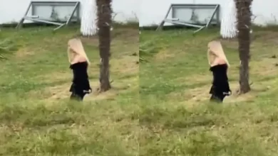 Photo of Skandali i burgut të Peqinit: Pamjet e një eskortë që tronditin opinionin publik