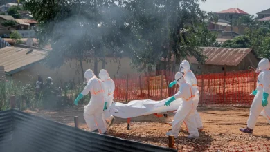 Photo of Numri i të vdekurve nga Ebola në Kongo shkon në 200, rritet frika për një epidemi masive