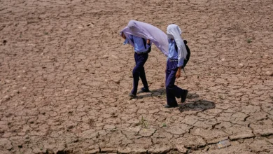 Photo of Raporti i ri i UNICEF: Rreth një miliard fëmijë të ekspozuar ndaj rreziqeve të shumëfishta për shkak të ndryshimeve klimatike