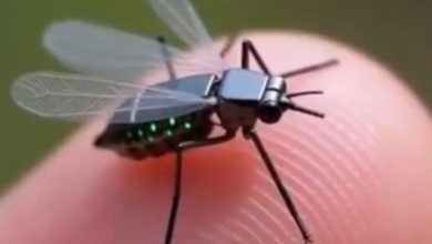 Photo of VIDEO/ Gara e teknologjisë dhe spiunazhit, Kina prezanton mikro-dronin “miza robotike”! E pamundur ta gjurmosh, sensorë, kamera dhe sitstem transmetimi
