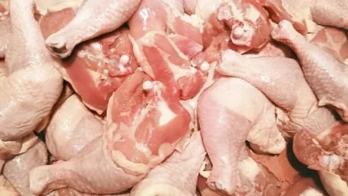 Photo of Parandalohen më shumë se 23.6 ton mish pule të ngrirë nga Brazili