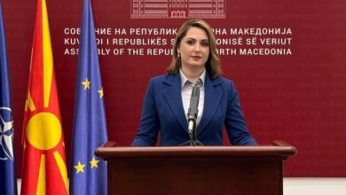 Photo of Rina Ajdari: Do ta bllokojmë Ligjin për Përfaqësim të Drejtë dhe Adekuat, neni për përkatësinë etnike është i papranueshëm