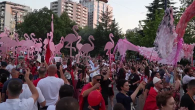 Photo of Sa dinë për flamingot? Protestuesit ndahen mes mbrojtjes së natyrës dhe revoltës politike: Qëllimi ynë është largimi i qeveritarëve