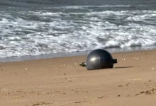 Photo of Sfera të mistershme shfaqen në një plazh të Australisë, nisin hetimet