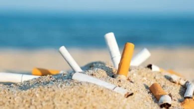 Photo of Spanja drejt ndalimit të duhanit dhe cigareve elektronike në plazhe e ambiente publike, drafti shkon në Kuvend