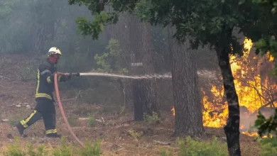 Photo of Zjarret pyjore në Spanjë dhe Francë detyrojnë evakuimin e 200,000 njerëzve