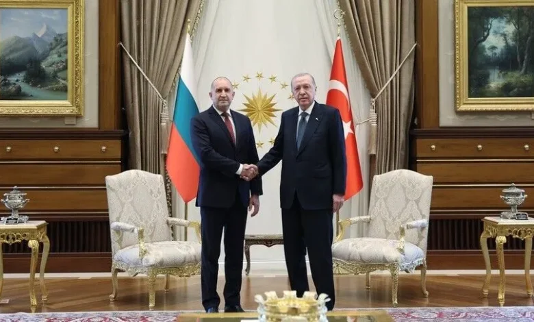 Presidenti Erdogan takohet me kryeministrin bullgar në margjinat e Samitit të NATO s në Ankara