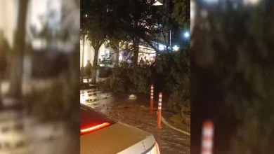 Photo of Stuhia prek Sarandën gjatë natës, tre persona të plagosur nga thyerja e xhamave, pema e rrëzuar dëmton automjetet