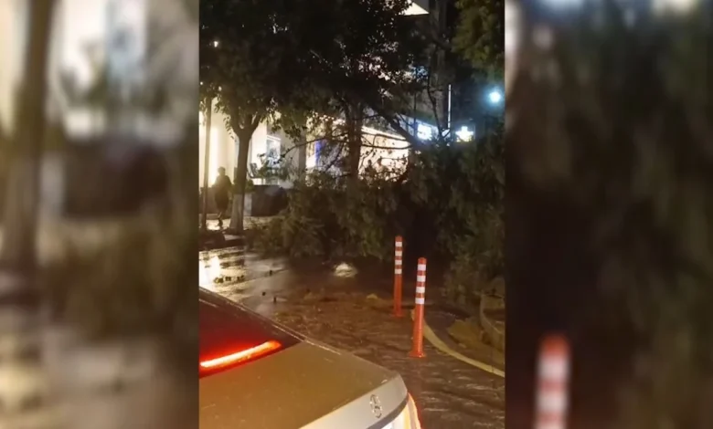 Stuhia prek Sarandën gjatë natës  tre persona të plagosur nga thyerja e xhamave  pema e rrëzuar dëmton automjetet