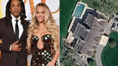 Photo of Frikë për Beyonce dhe Jay-Z, një shofer përplaset me portën e rezidencës së tyre luksoze