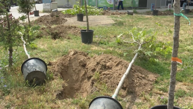 Photo of “100 drurë për 100 punëtorë”, CEACON me donacion ekologjik në disa komuna