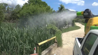 Photo of Dezinsektimi i dytë në Tetovë do të bëhet më 15 korrik