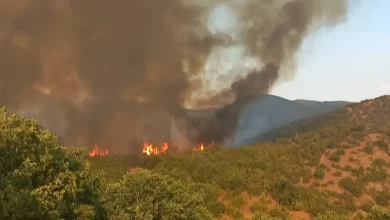 Photo of Deri në ora 18:00 janë regjistruar 11 zjarre, aktualisht mbetet vetëm 1 aktiv