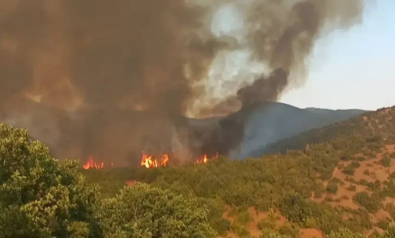 Deri në ora 18 00 janë regjistruar 11 zjarre  aktualisht mbetet vetëm 1 aktiv