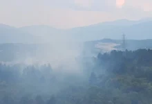 Photo of Zjarr në parkun pyjor “Gazi Babë”
