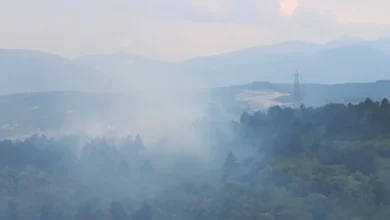 Photo of Zjarr në parkun pyjor “Gazi Babë”