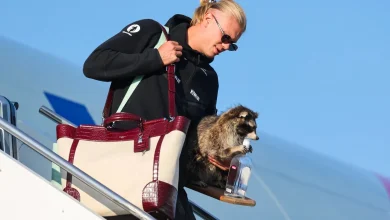 Photo of Nga buzëqeshjet te polemikat/ Haaland bëhet viral me rakunin prej pellushi, ylli i Norvegjisë përballet me kritika të forta nga aktivistët