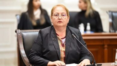 Photo of Janevska: Janë mbyllur 18 institute, pas tyre priten masa edhe ndaj disa fakulteteve dhe universiteteve private