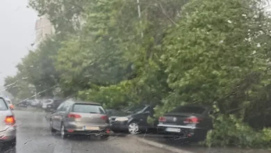 Photo of Momente dramatike në Shkup: Era e fortë rrëzon pemë, dëme në vetura