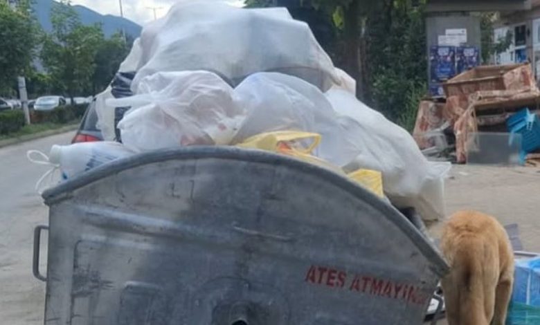 Mbeturinat jashtë kontejnerëve shqetësojnë Gostivarin