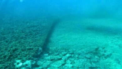 Photo of Zbulohet në Adriatik një rrugë 7 mijëvjeçare nën ujë, arkeologët: Lidhte një vendbanim neolitik me bregun