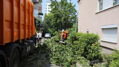 Photo of Ekipet e Komunës së Çairit vazhdojnë pa ndërprerje punën në terren pas stuhisë