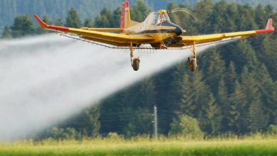 Photo of Nga e hëna në Shkup nis dezinsektimin tokësor kundër mushkonjave